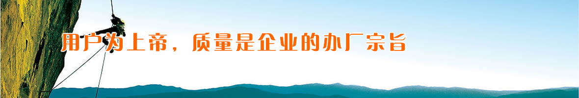 煤泥泵
